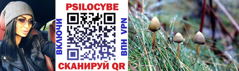 Галлюциногенные грибы Magic Shrooms  Корсаков 